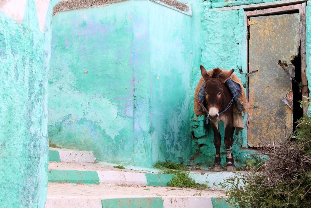 Dar Zerhoune Moulay Idris Exterior foto