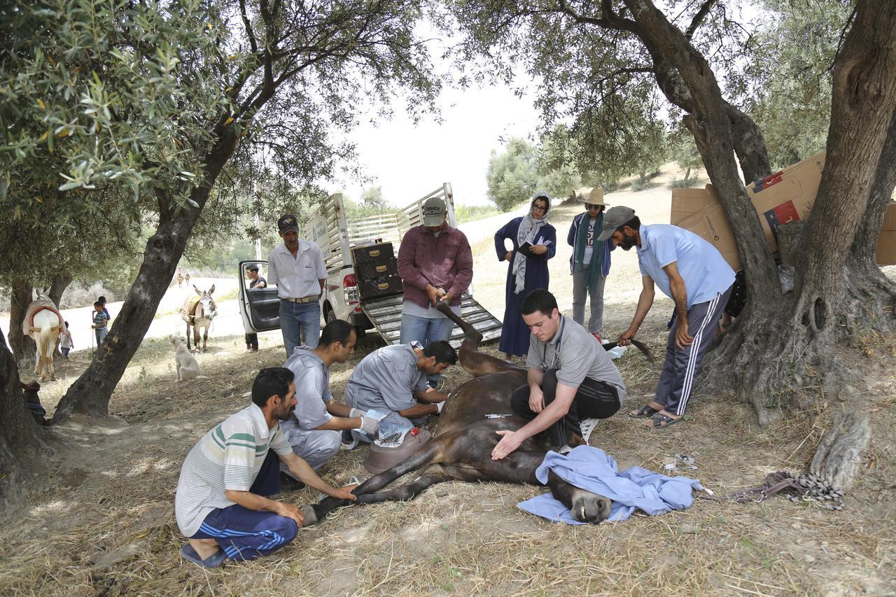 Dar Zerhoune Moulay Idris Exterior foto