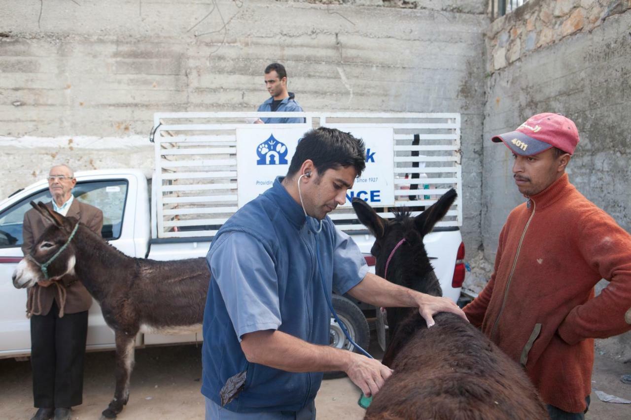 Dar Zerhoune Moulay Idris Exterior foto